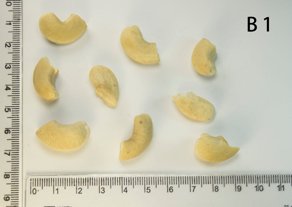 Broken - Raw Cashews