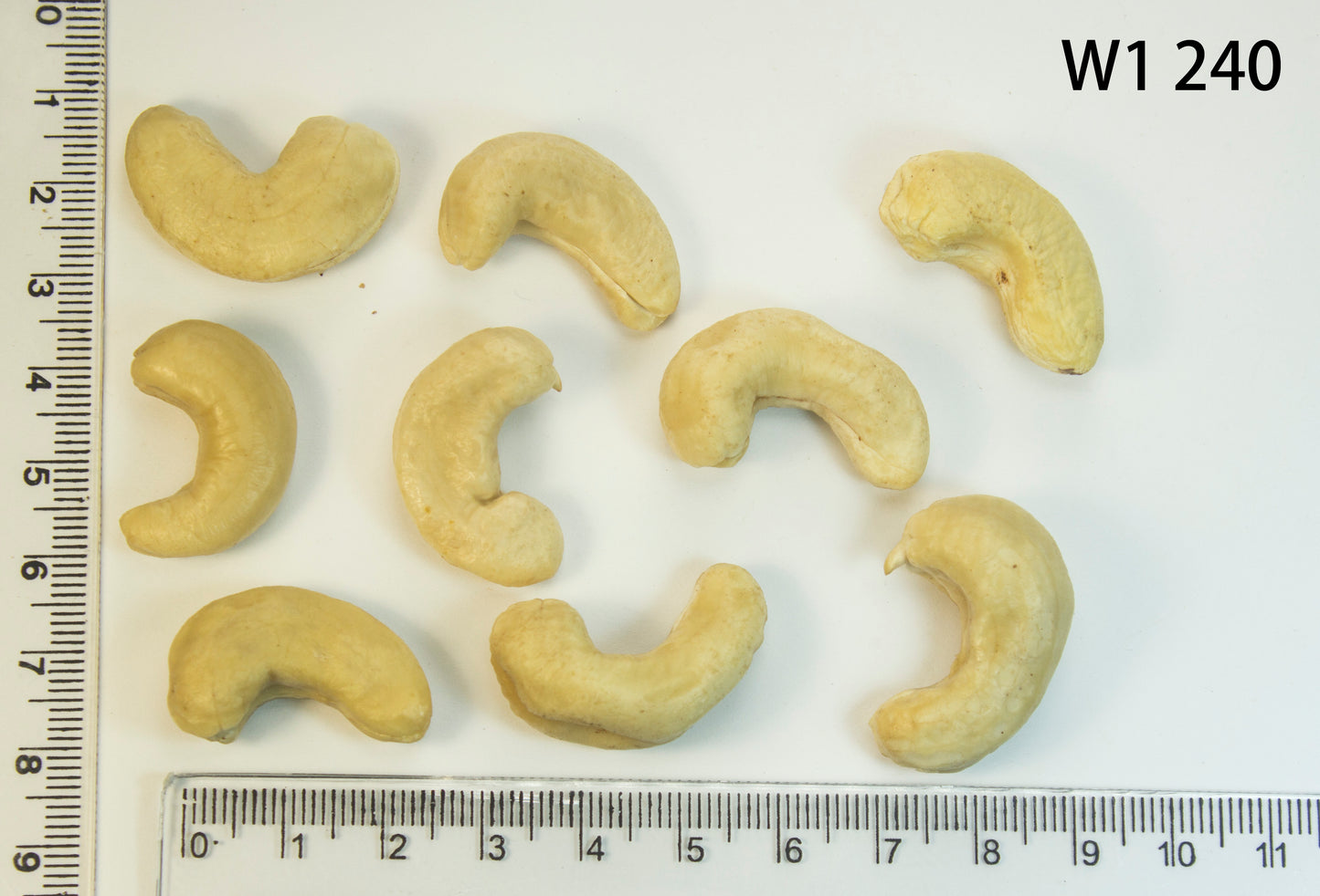 Whole Cashews - Raw